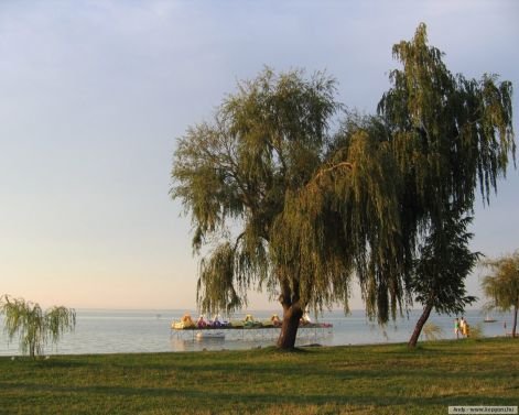 balaton-vizibiciklis.jpg